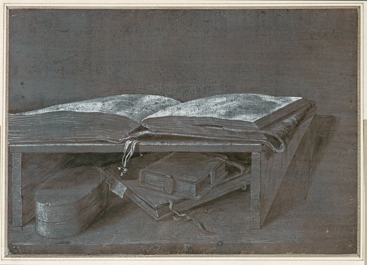 Open Boek (penseeltekening op bruin papier) door Albrecht Dürer or Duerer