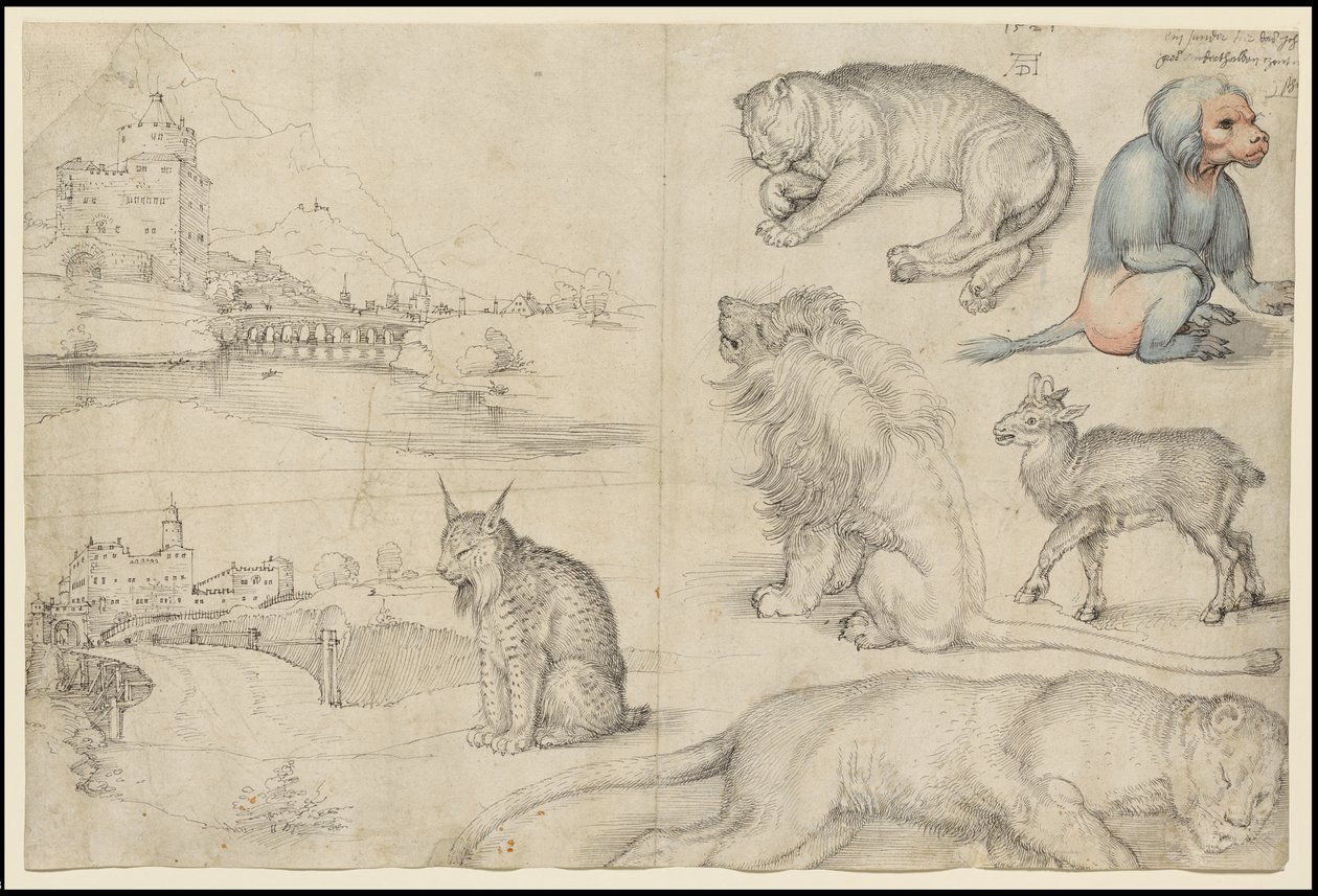 Schetsen van dieren en landschappen door Albrecht Dürer