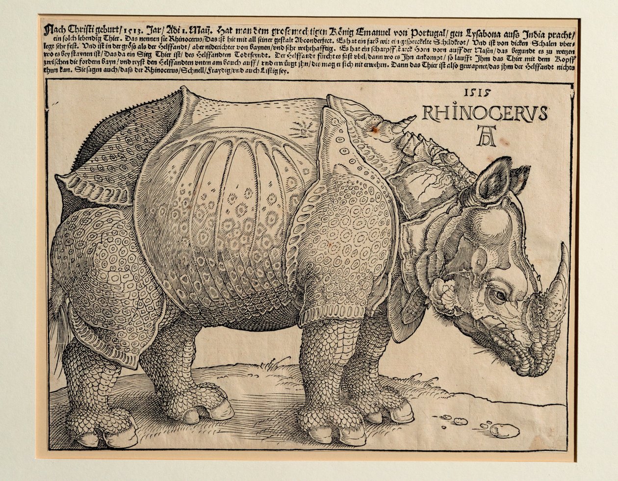 De neushoorn door Albrecht Dürer or Duerer