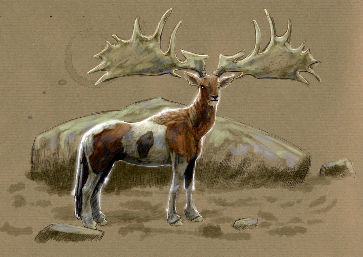 Fantastische monsters en wezens, cryptozoologie: voorstelling van een hippocerf door Alessandro Lonati