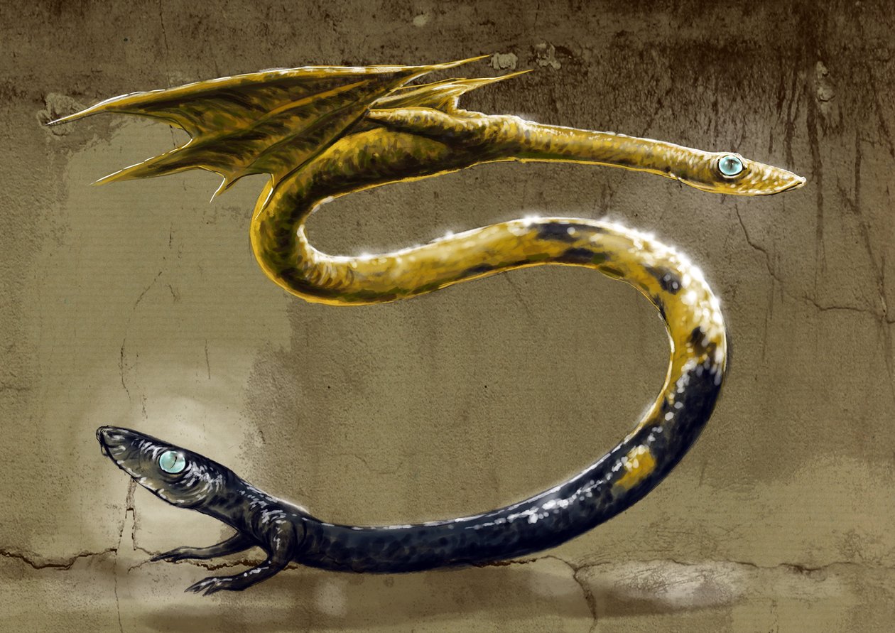 Fantastische monsters en wezens, cryptozoologie: voorstelling van een ...