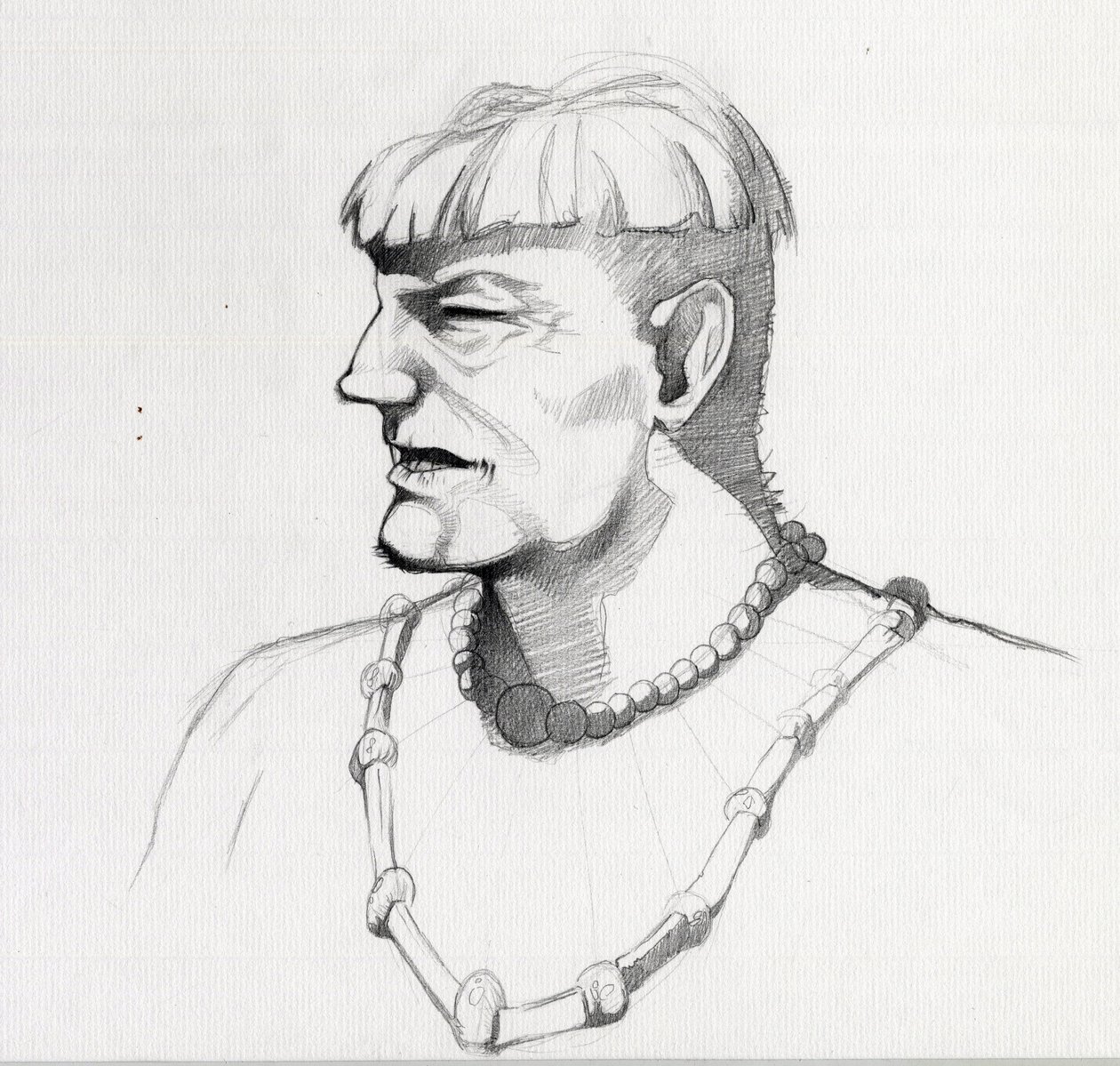 Portret van een piraat (kaper) of buste van een matroos (Illustratie) door Alessandro Lonati