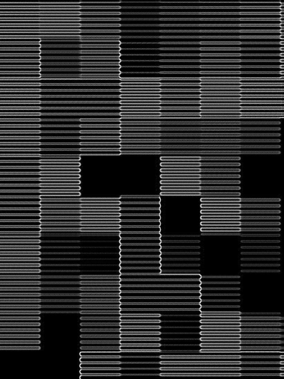 verborgen structuur, 2017 door Alex Caminker