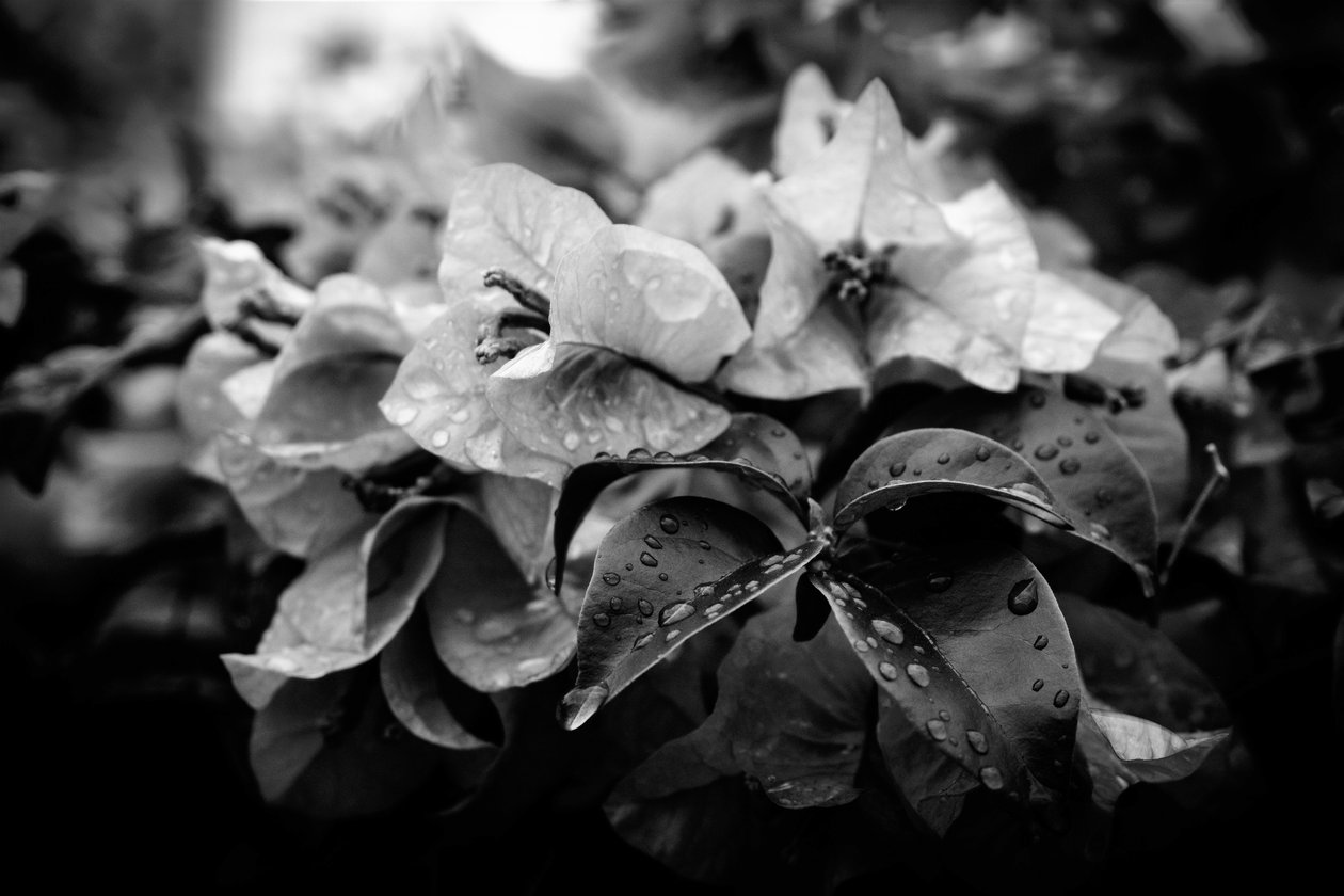 Cluster, 2019 door Alex Caminker