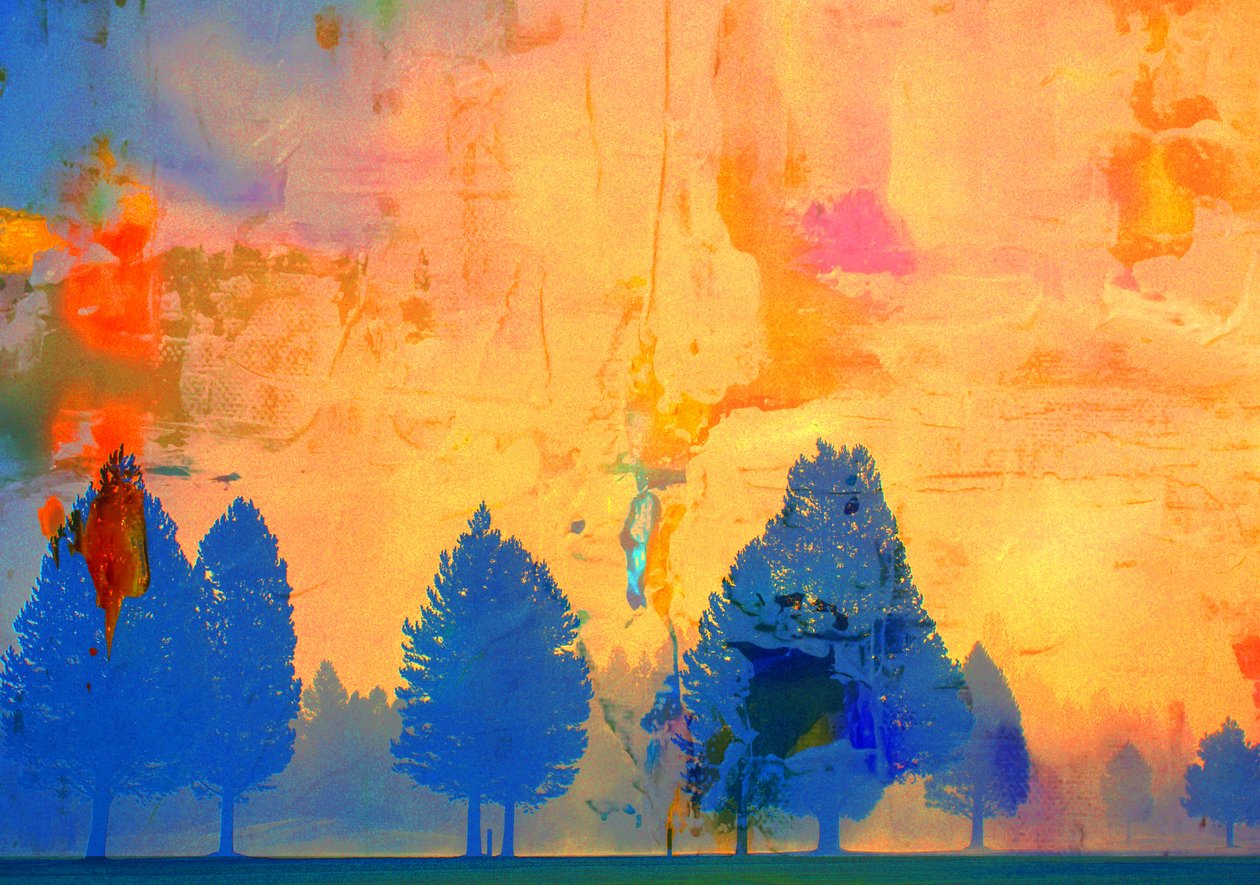 Koude Vuur, 2019 door Alex Caminker
