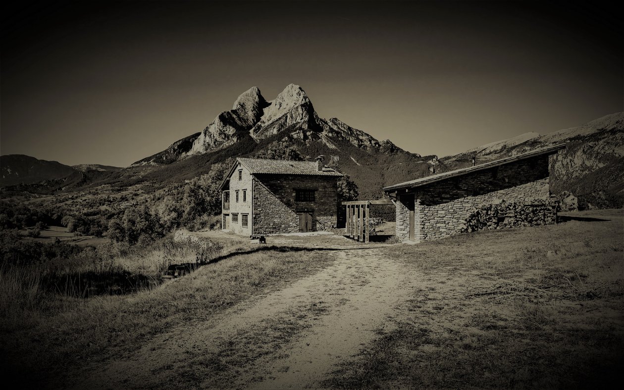 Bergweg, 2019 door Alex Caminker