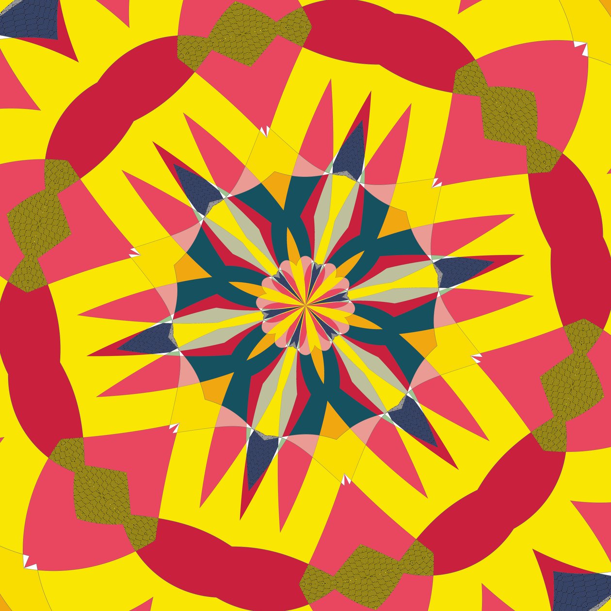 symmetrie #15 door Alex Caminker