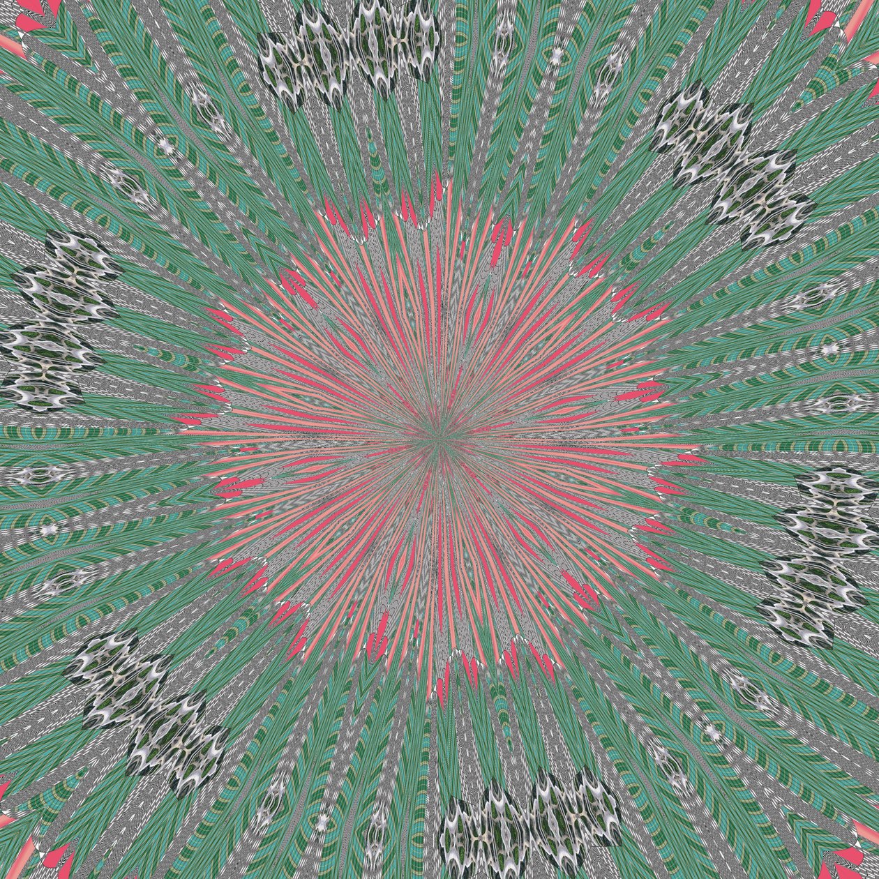 symmetrie #31 door Alex Caminker