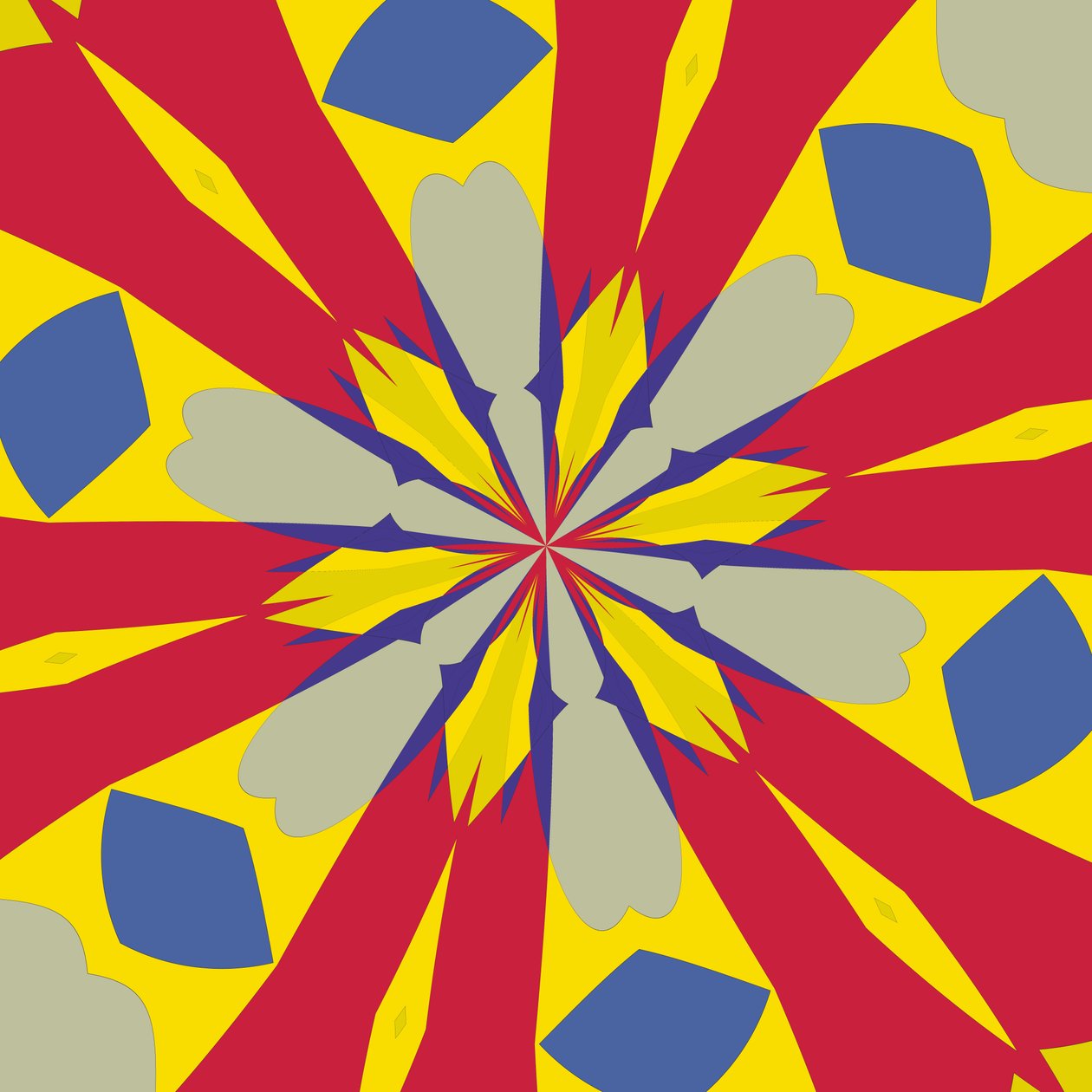 symmetrie #45 door Alex Caminker