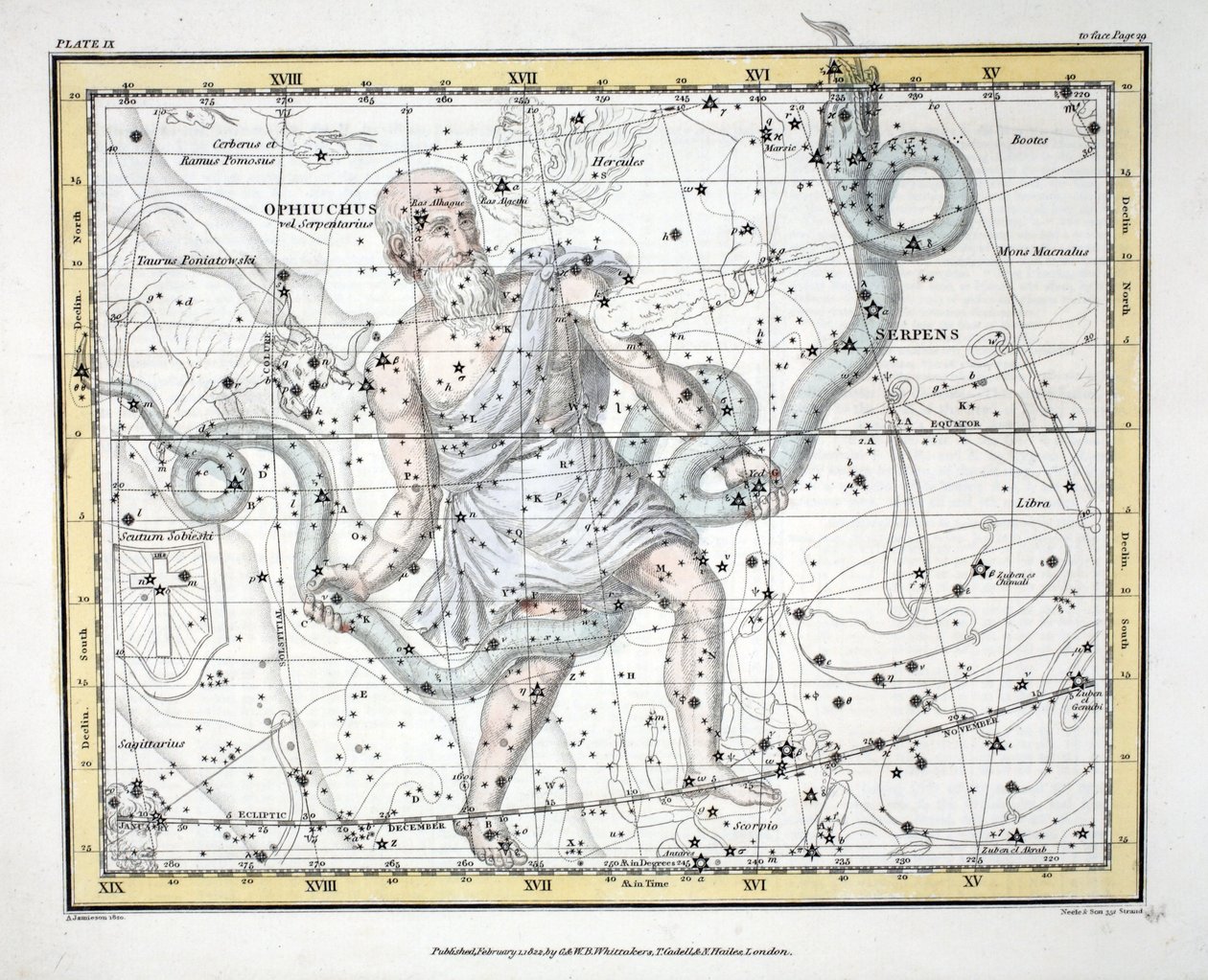 De Sterrenbeelden (Plaat IX) Olphiuchus, of Serpentarius, en Serpens, uit 