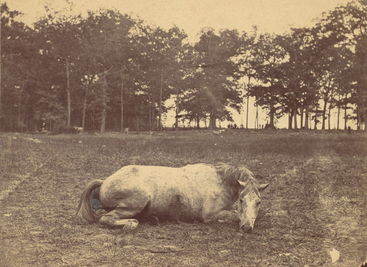 Is Dit Dood - Antietam Slagveld, september 1862 door Alexander Gardner