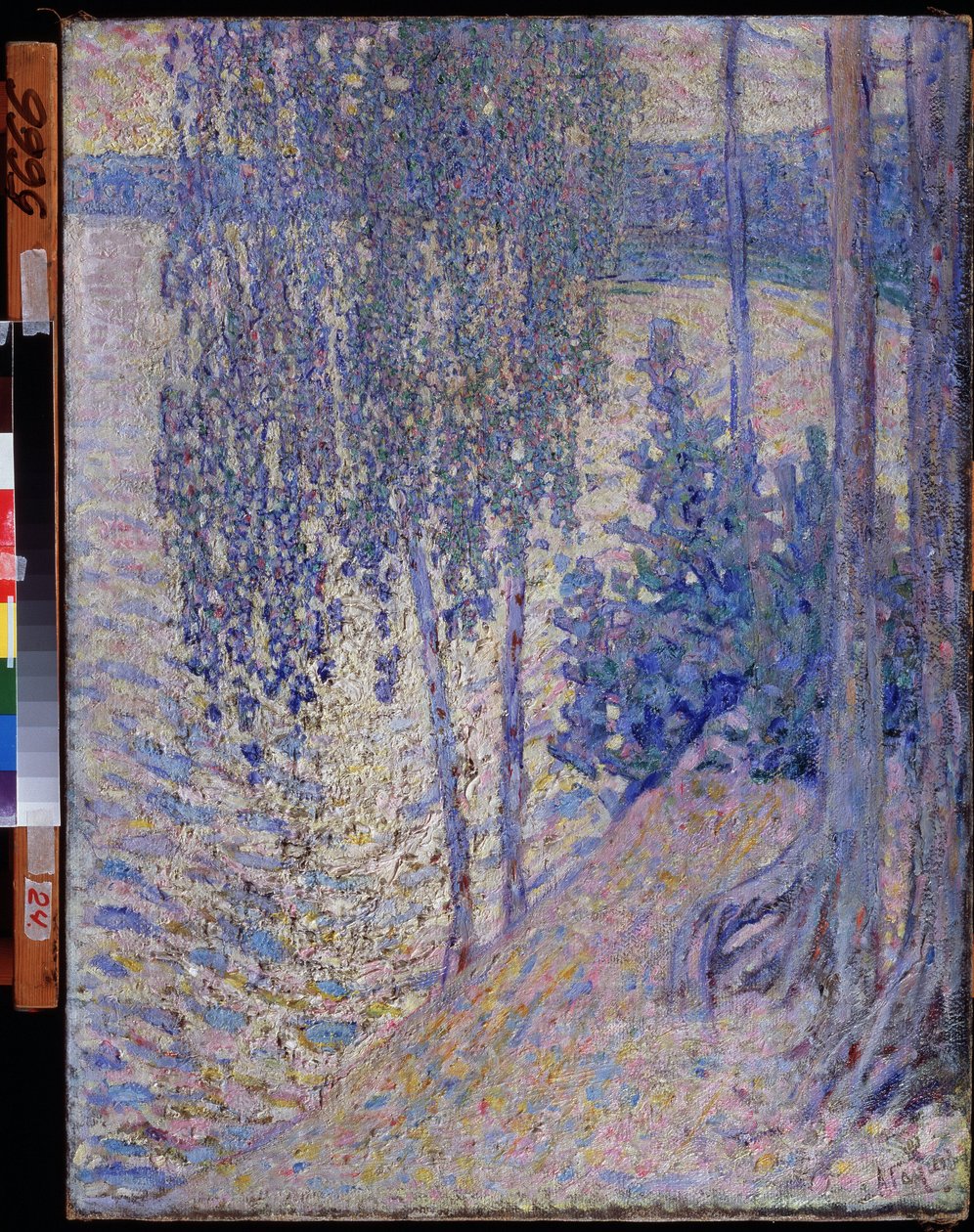 De berken door Alexander Gaush