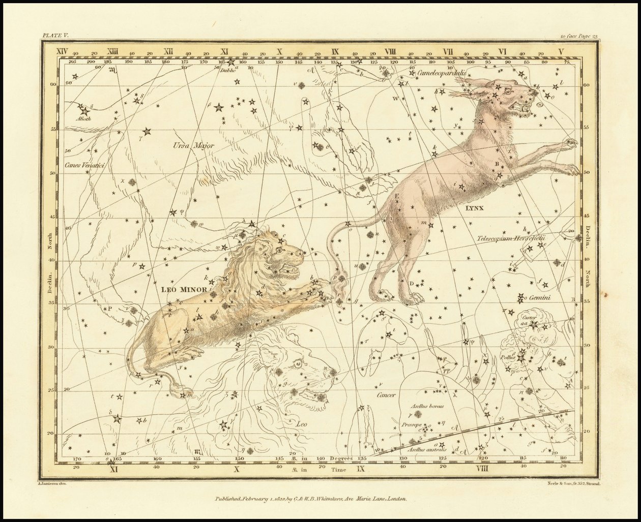 1822 - Alexander Jamieson - Lynx  Leo Minor door Alexander Jamieson