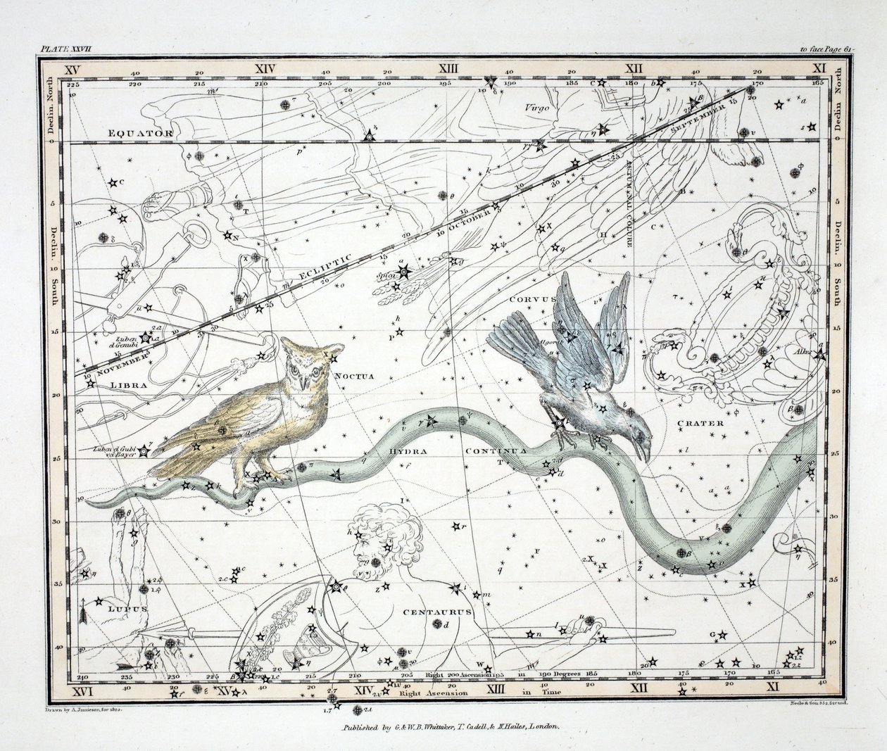 De sterrenbeelden (Plaat XXVII) Hydra Continua, Crater, Covus, Centaurus et Lupus, uit 