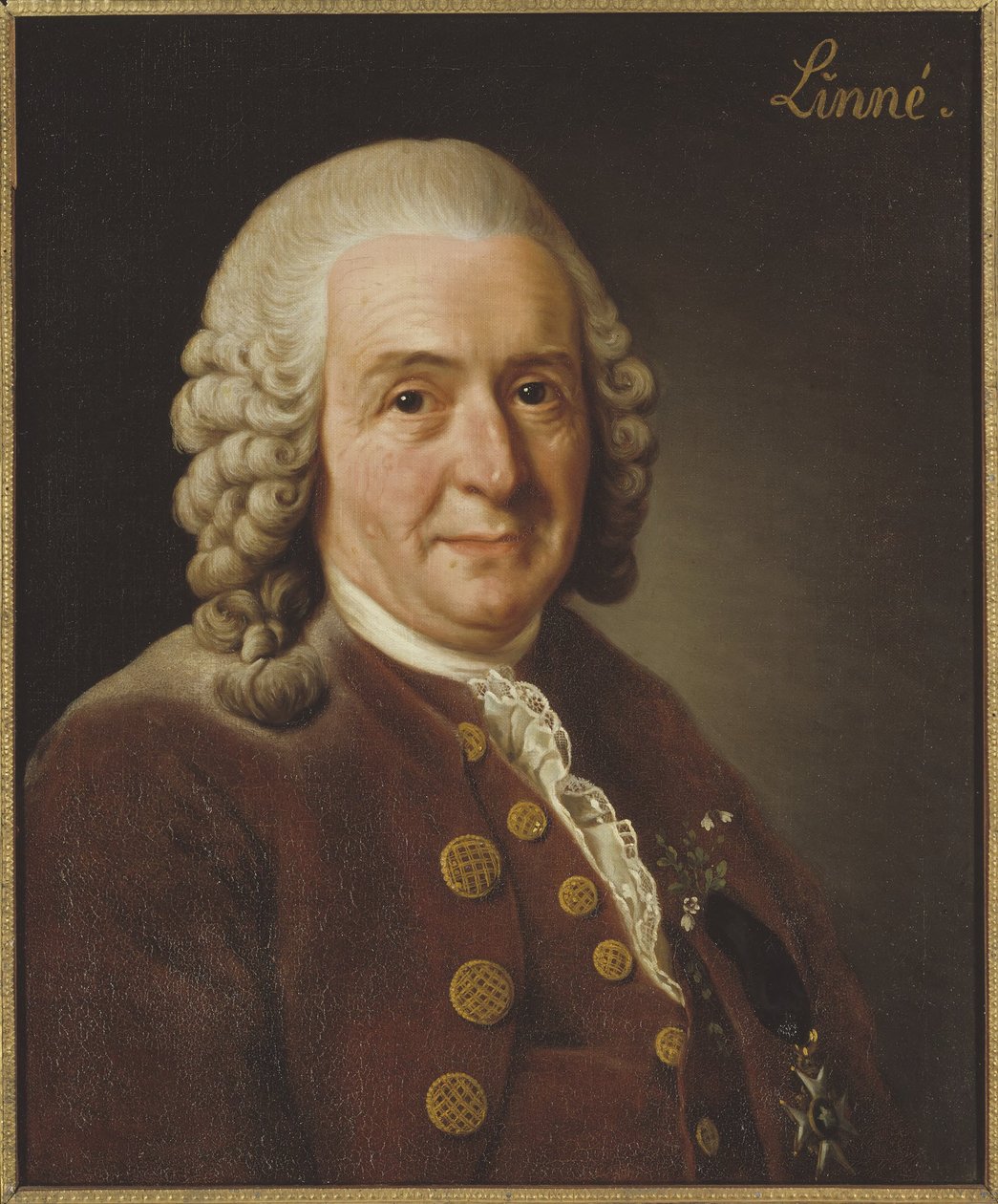 Carl Linnaeus (1707-1778), hoogleraar en botanicus, 1775 door Alexander Roslin