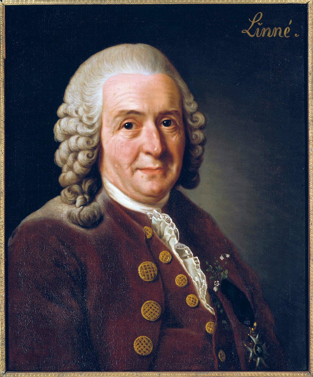 Portret van Carl von Linné door Alexander Roslin