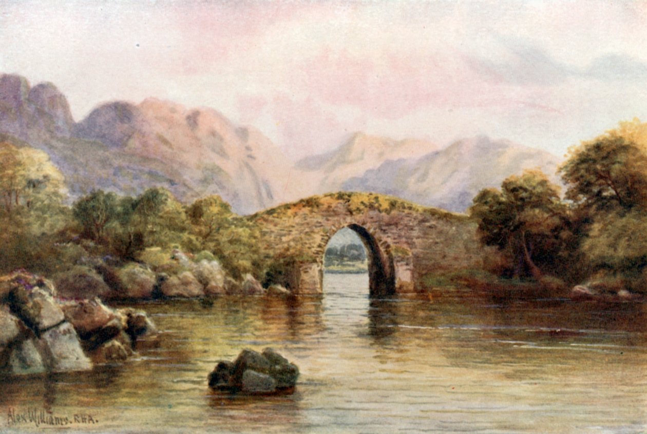  door Alexander Williams