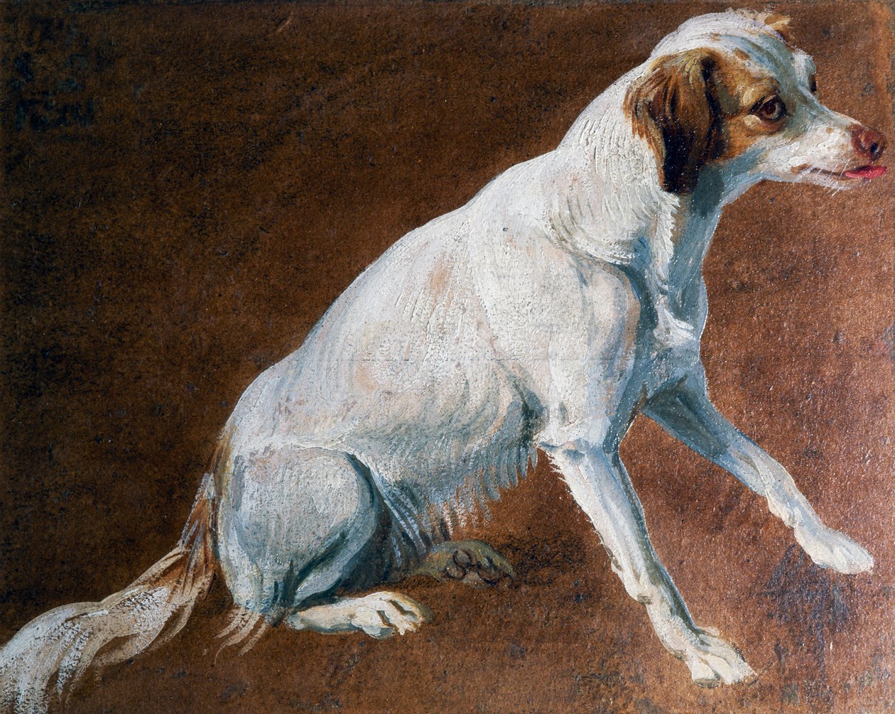 Franse Spaniel voorouder door Alexandre-Francois Desportes