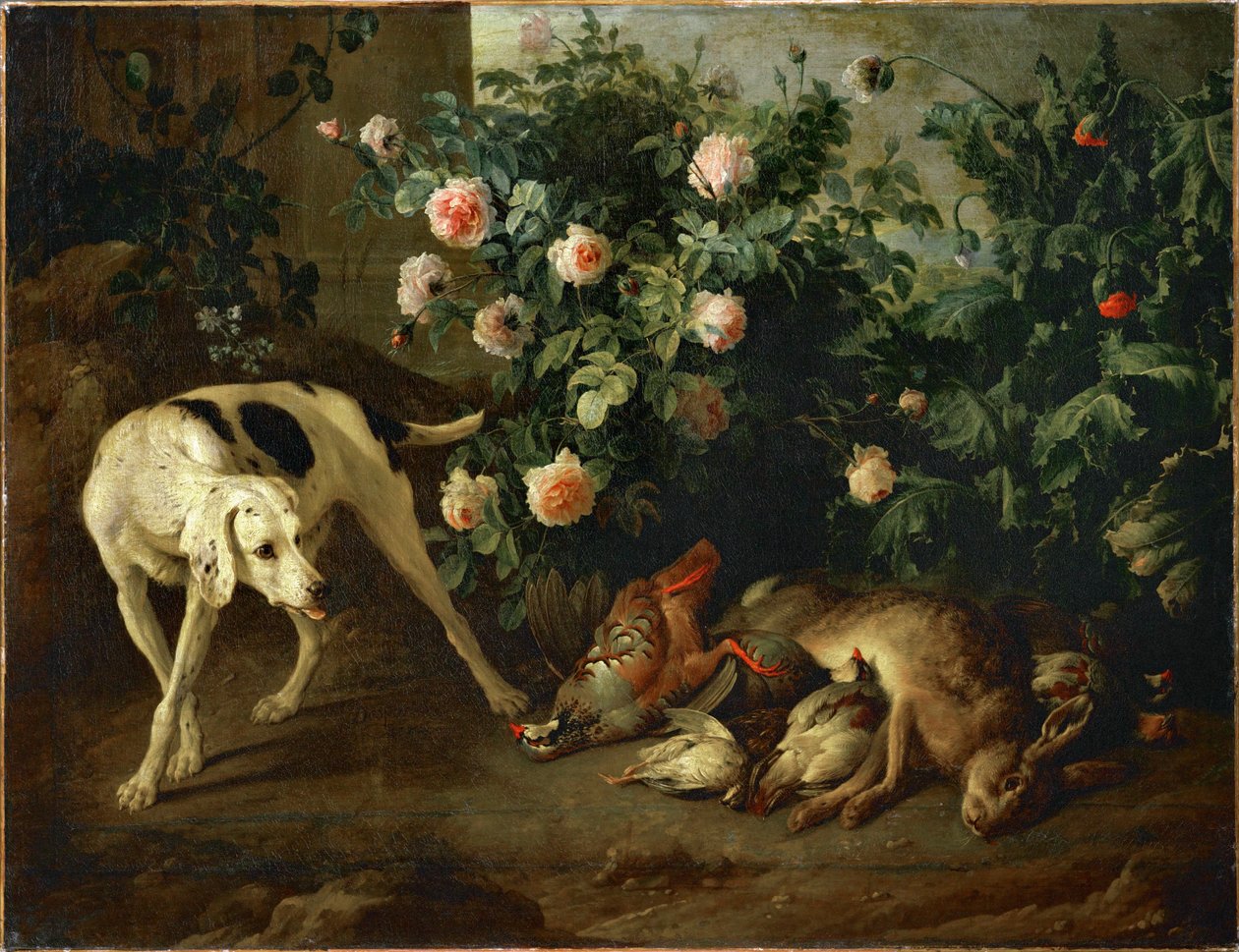 Hond die wild bewaakt bij een rozenstruik - Chien gardant du gibier aupres d