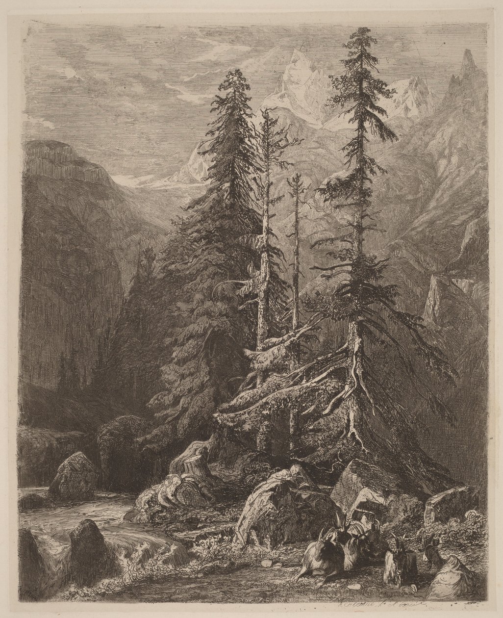 Proefdrukken in ets door Alexandre Calame, I, pl. 21 door Alexandre Calame