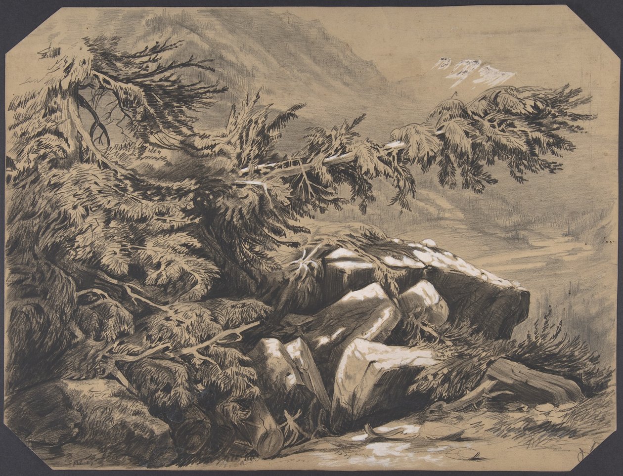 Bossen en bergen door Alexandre Calame