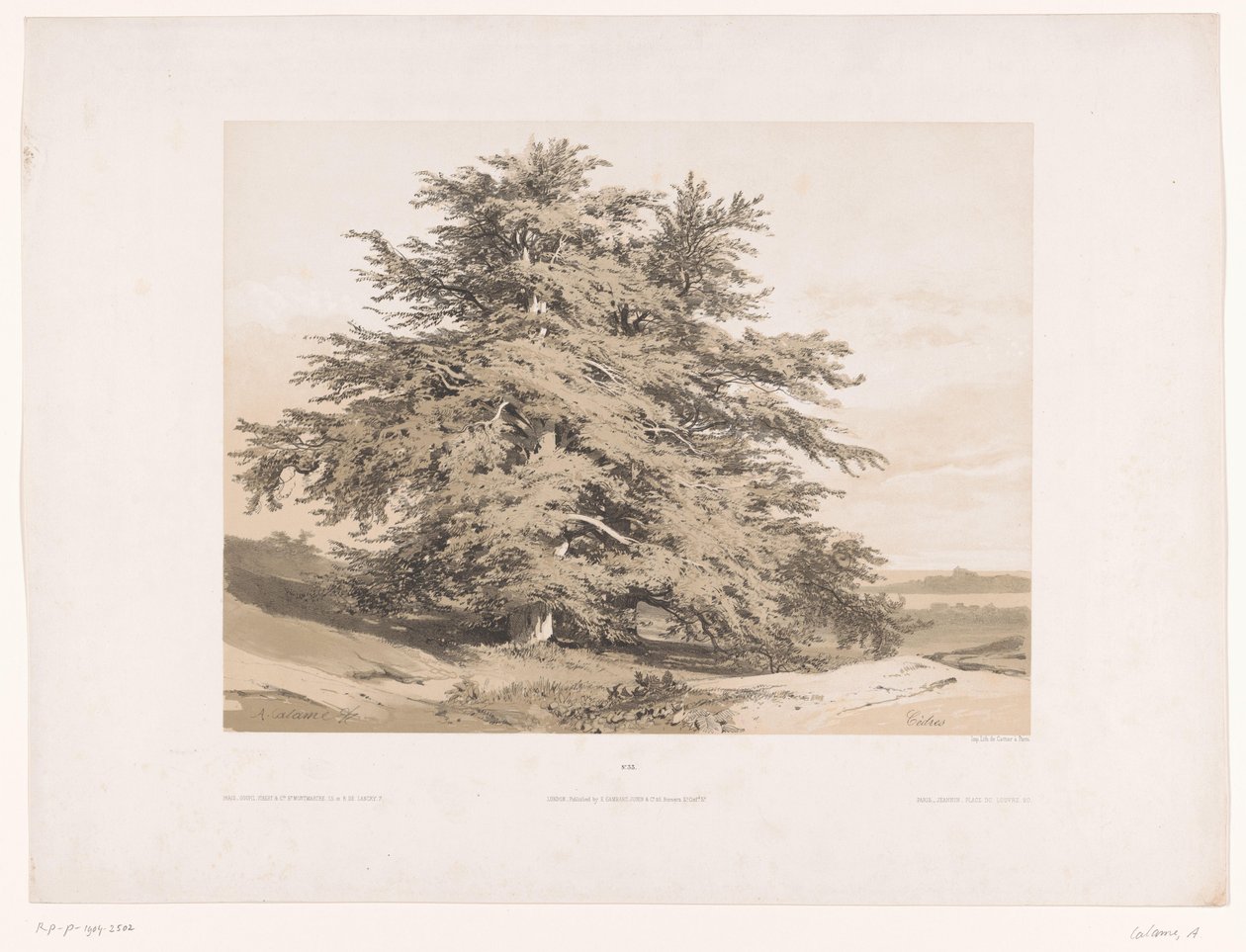 Landschap met ceders door Alexandre Calame