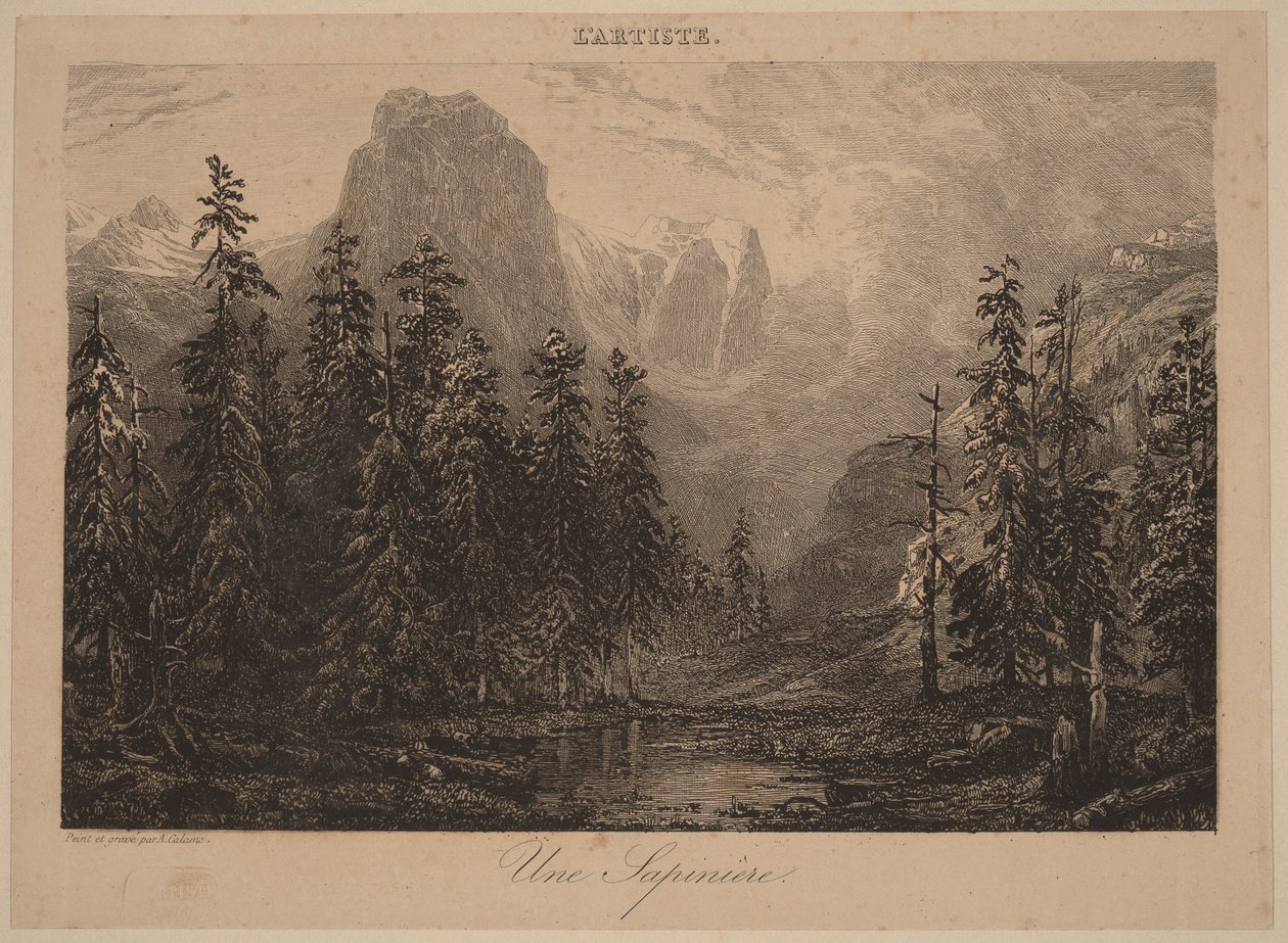Een dennenbos door Alexandre Calame