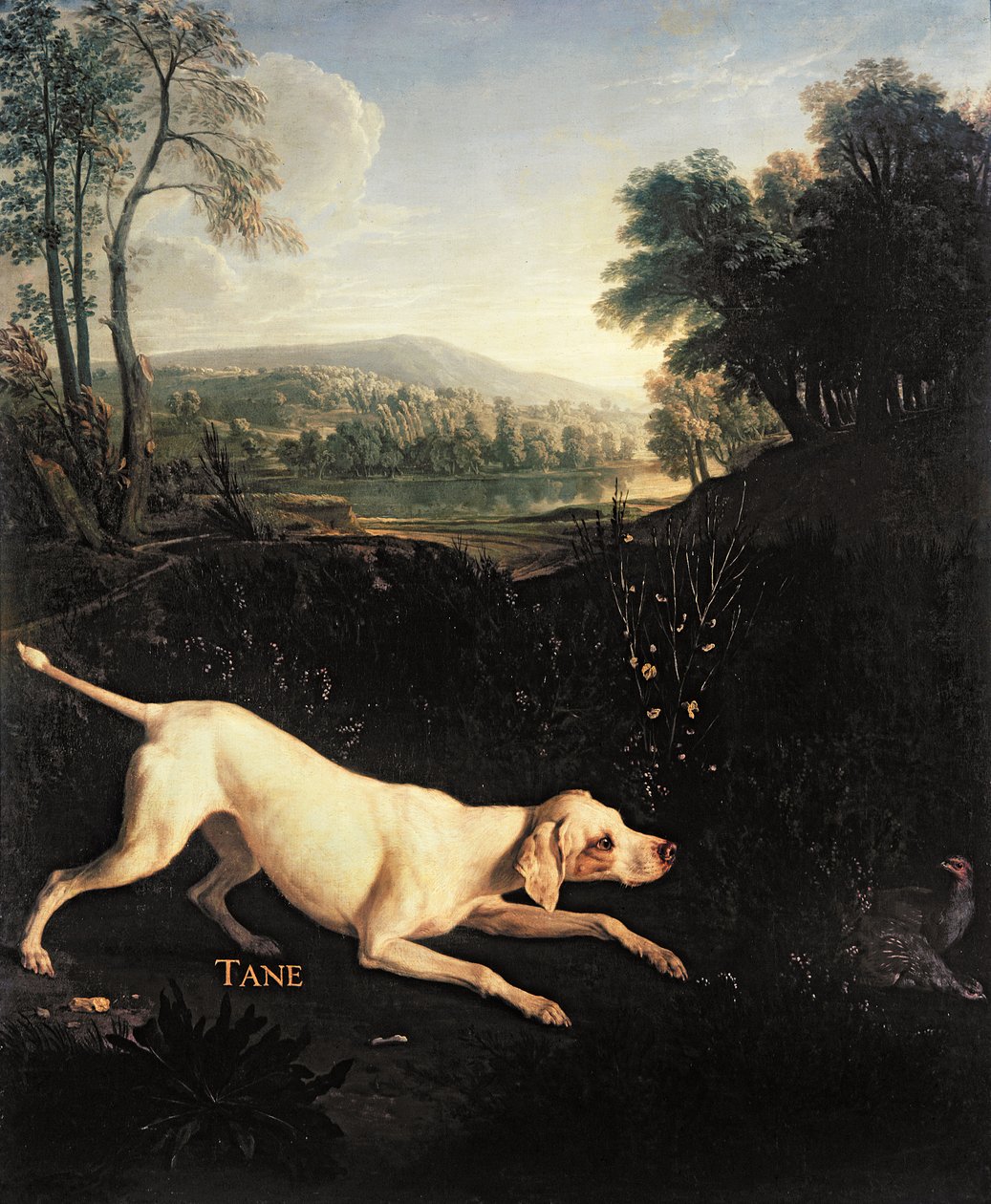 De hond van Lodewijk XIV, Tane | Kunstafdruk