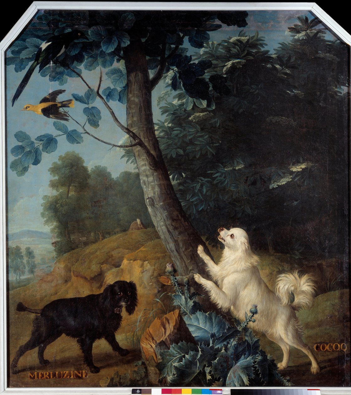 Merluzine en Cocoq, de honden van Lodewijk XIV (1638-1715). Schilderij door François Desportes (1661-1743) door Alexandre Francois Desportes