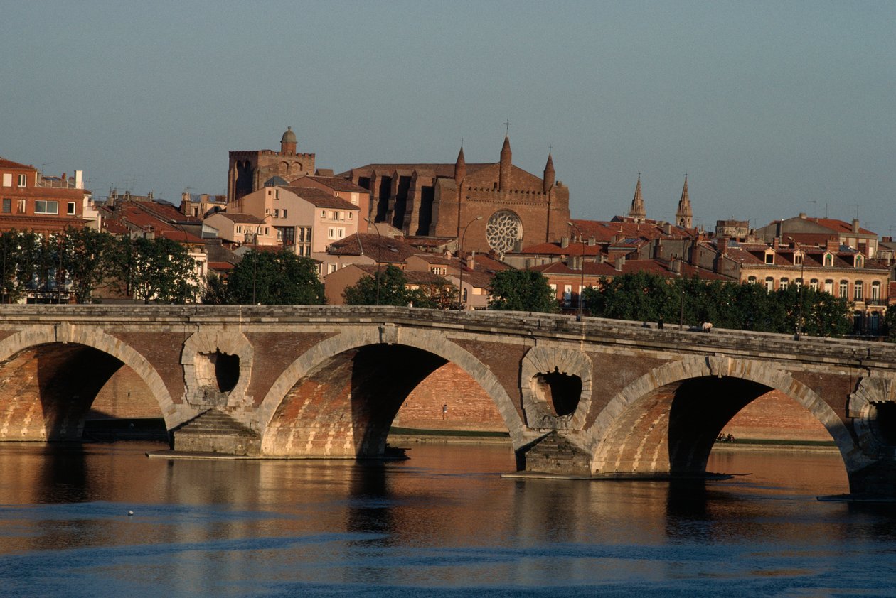 Pont-Neuf over de Garonne rivier, Toulouse, Midi-Pyrénées, Frankrijk door Nicolas Toussaint Charlet