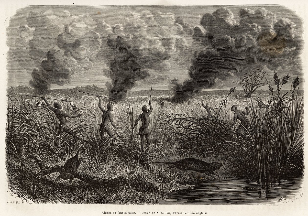 De Bongo-stam jaagt de rat uit het riet (voor naturalisten: aulacode), zodra ze de plaats spotten waar de knaagdieren leven, wordt er vuur gestoken aan het droge gras rond hun huisje, totdat de beesten, gedwongen te vluchten, zich aan de jagers presenteren door Alexandre de (after) Bar