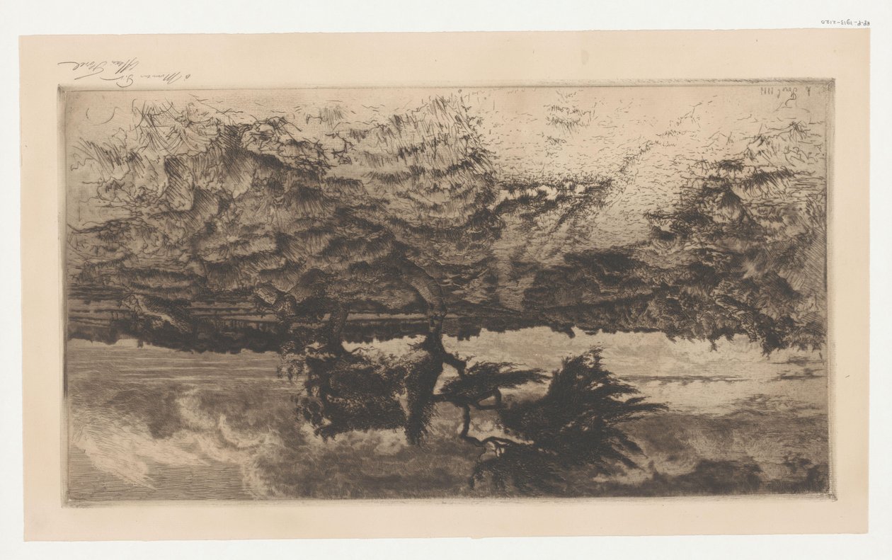 Heidelandschap door Alexis Forel