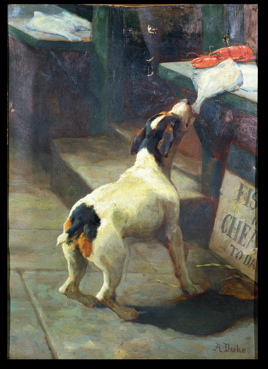 Vis is Vandaag Goedkoop door Alfred Duke