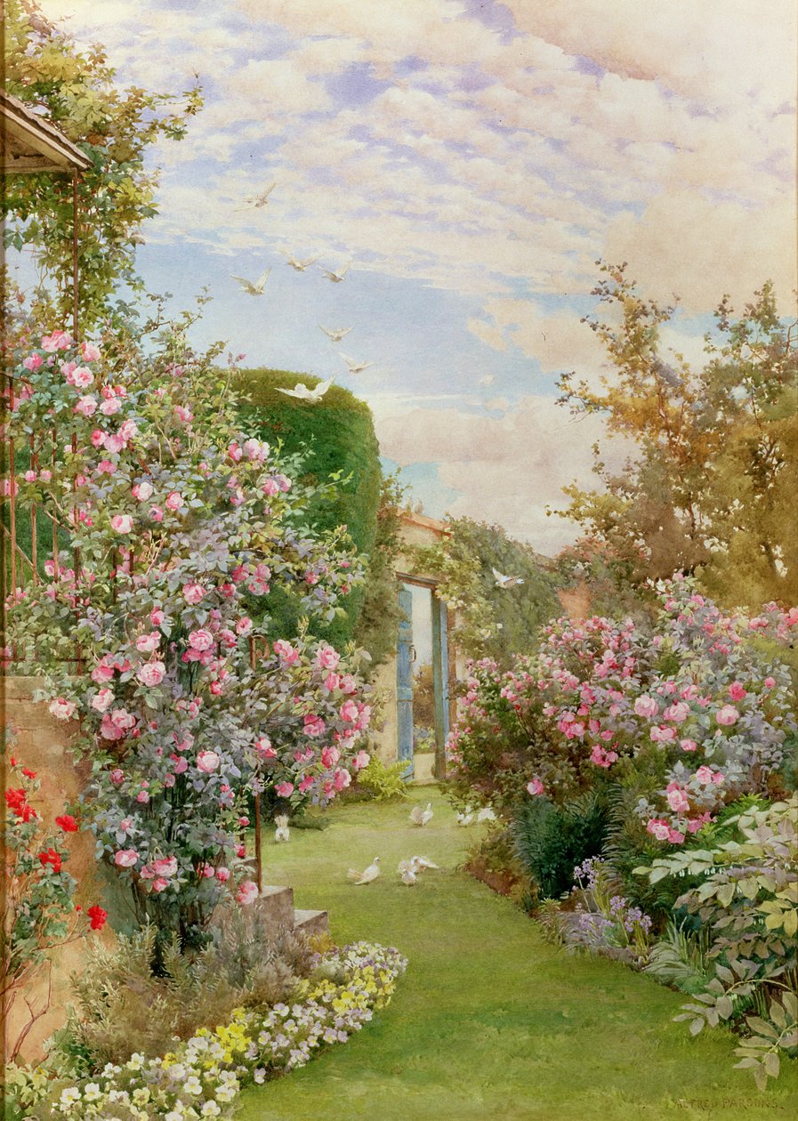 Chinese rozen, Broadway door Alfred Parsons