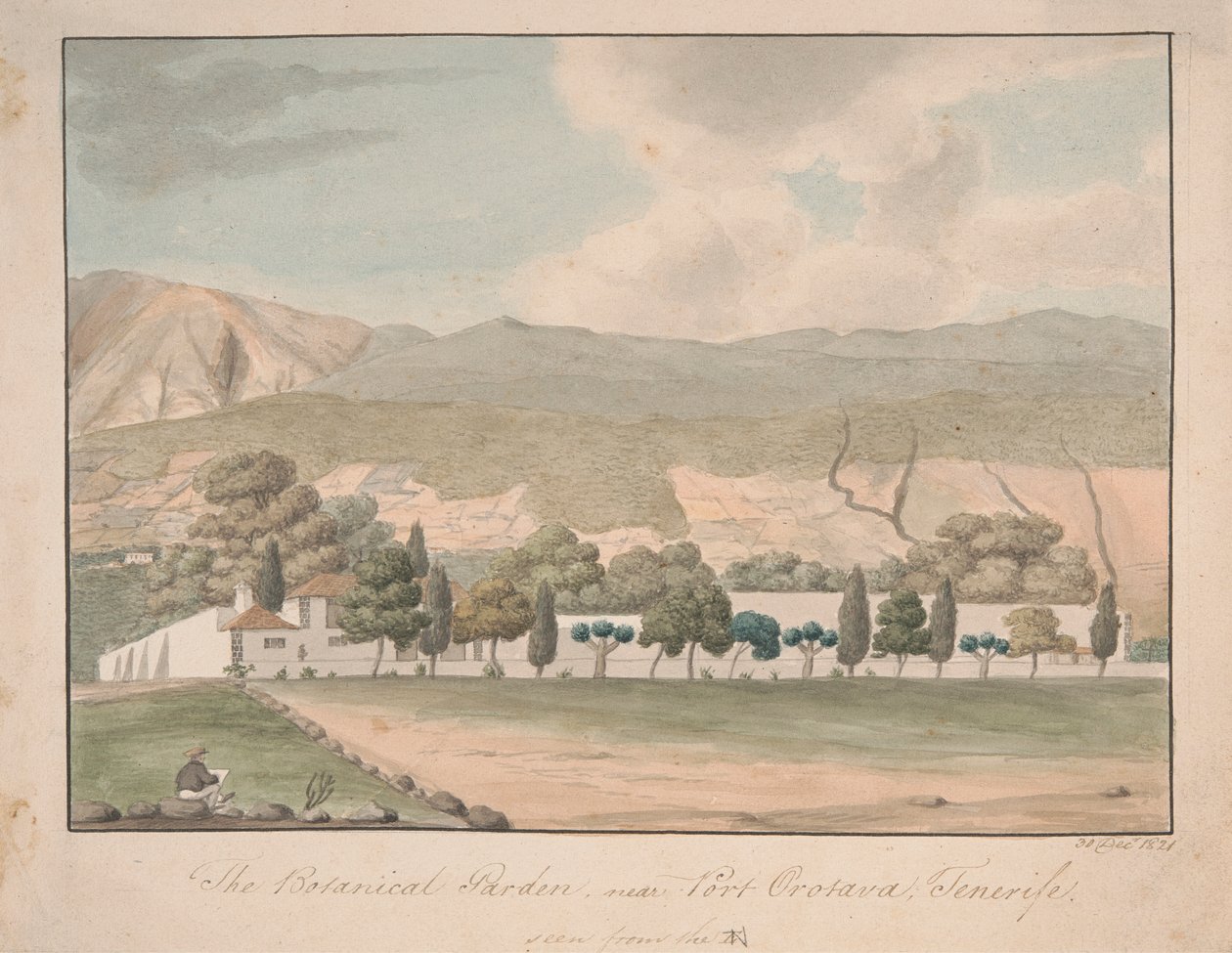 De botanische tuin bij Port Orotava, Tenerife door Alfred Diston