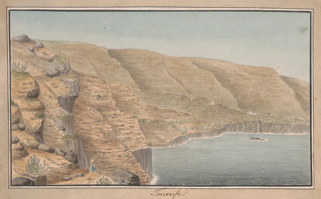 Uitzicht op La Rambla de Castro bij Port Orotava, Tenerife door Alfred Diston