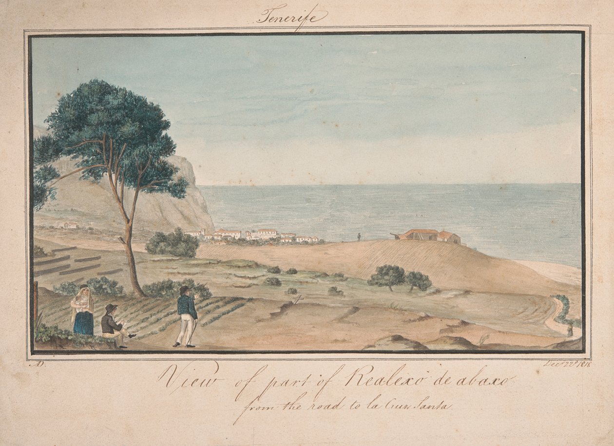 Uitzicht op een deel van Realesco de abasco vanaf de weg naar la Cruz Santa door Alfred Diston