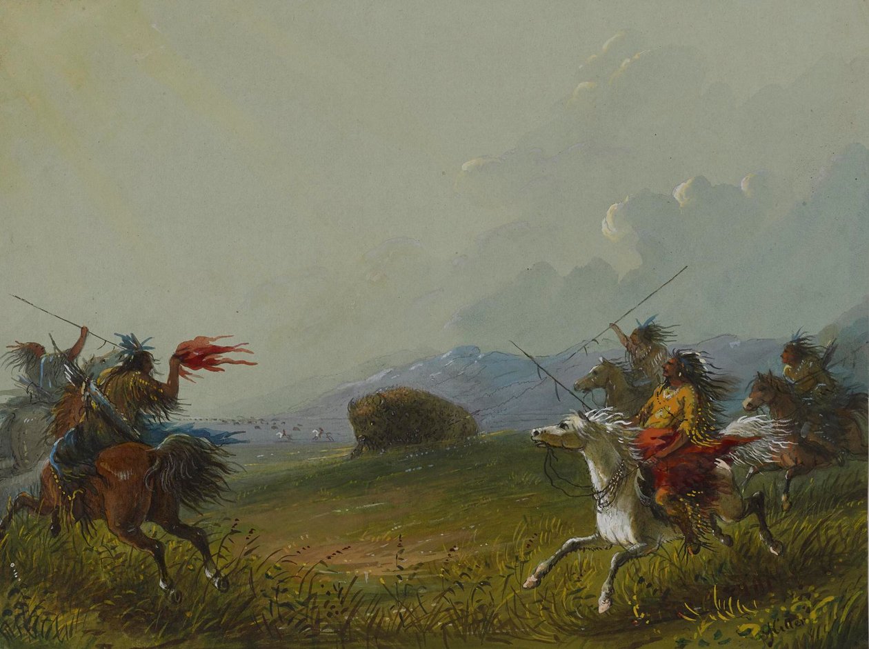 Buffel in het nauw door Alfred Jacob Miller