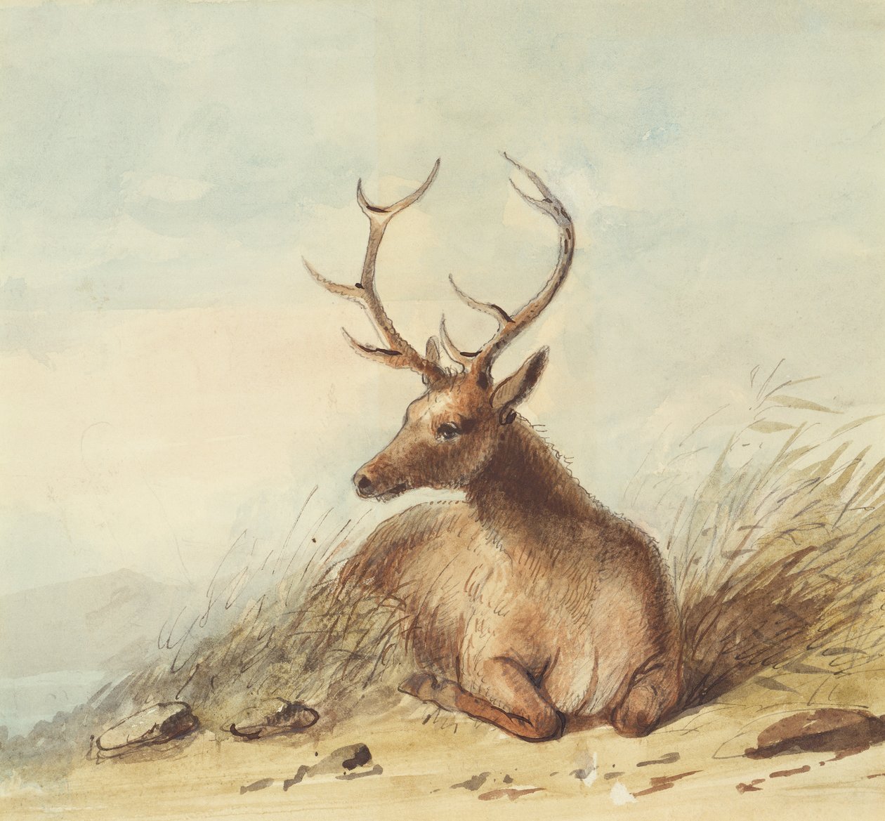 Elk, Rocky Mountains, ca. 1837 door Alfred Jacob Miller