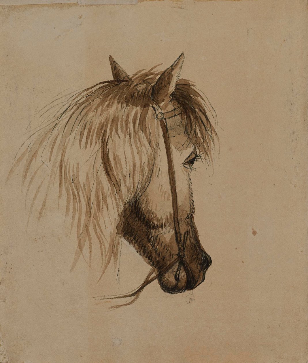 Paardenkop door Alfred Jacob Miller