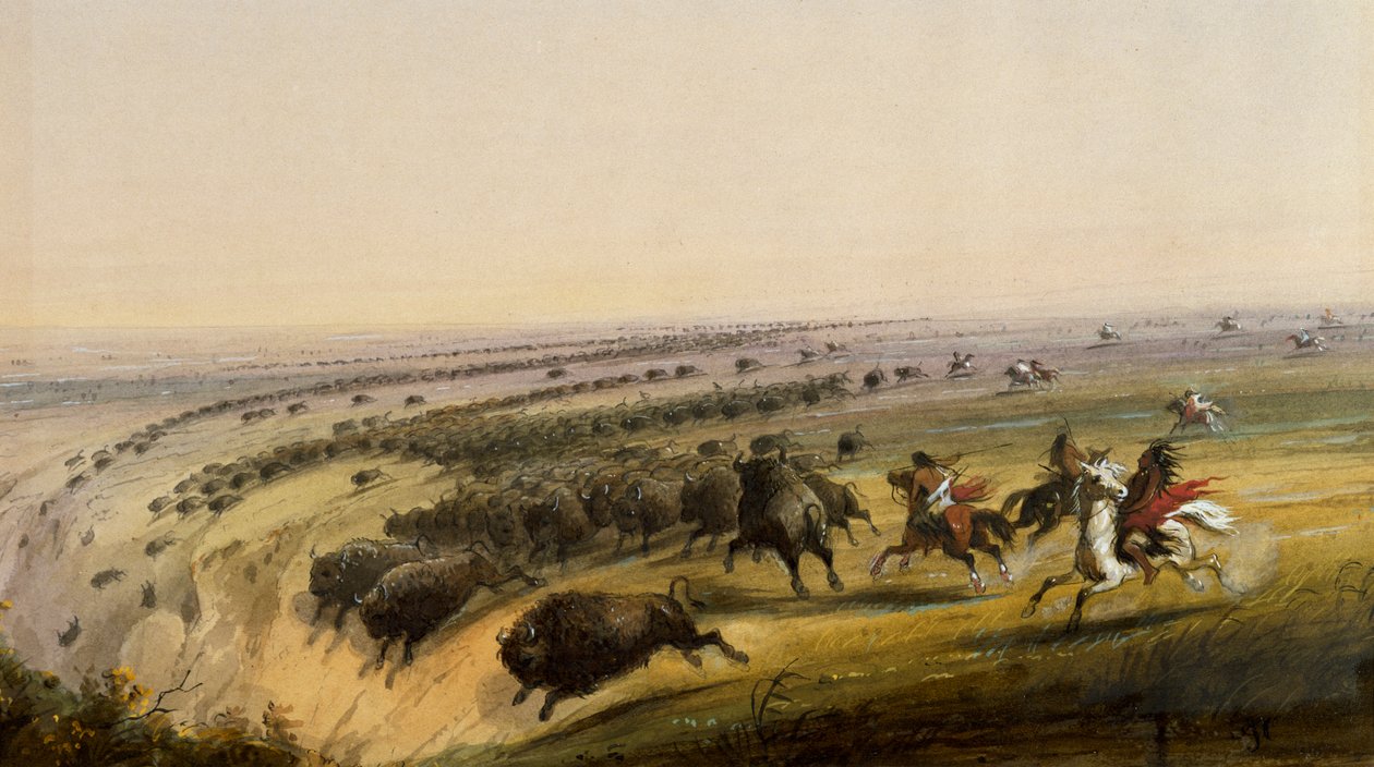 Jacht op buffels door Alfred Jacob Miller