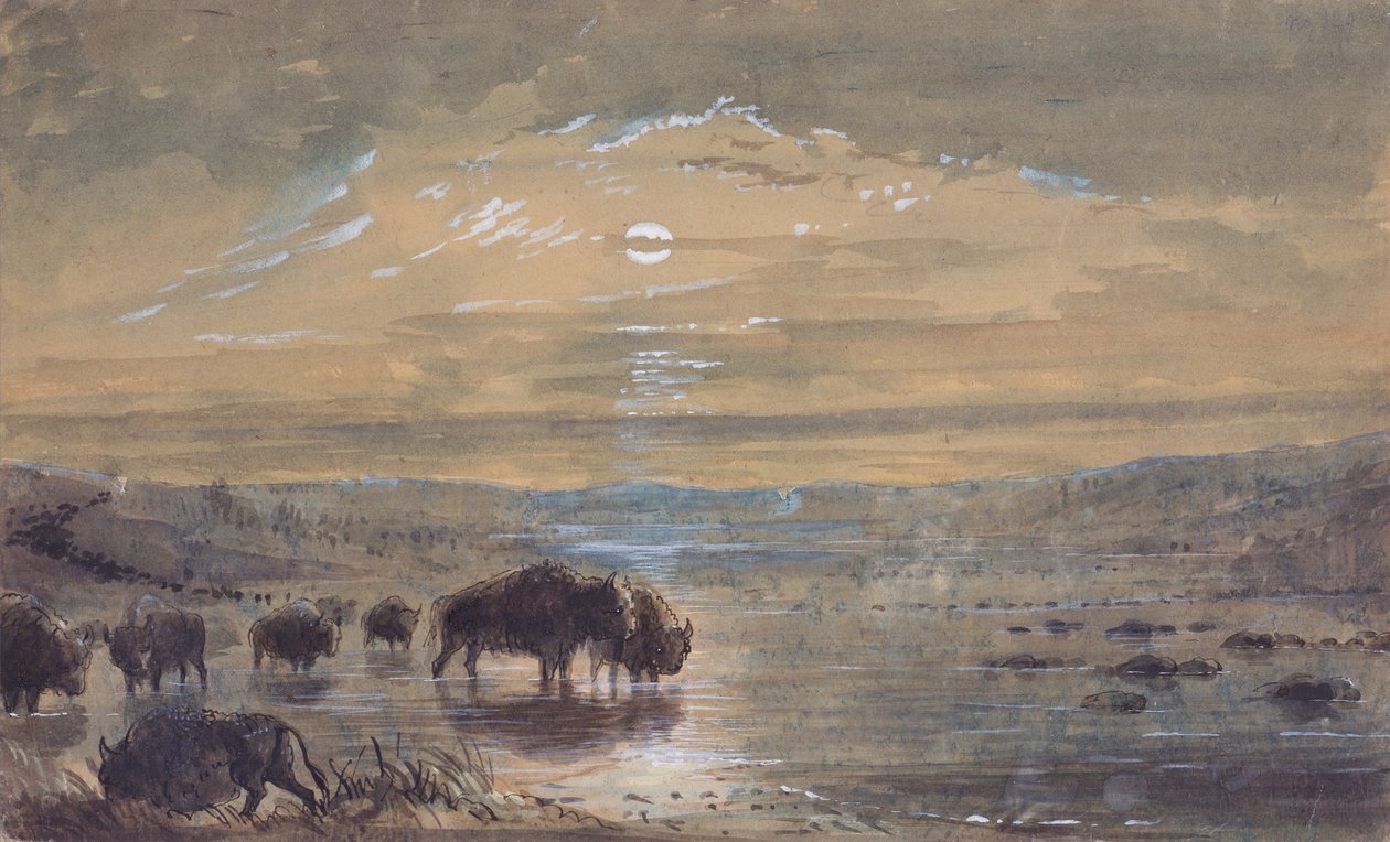 Nachtelijke scène, buffels op de prairie, ca. 1837 door Alfred Jacob Miller