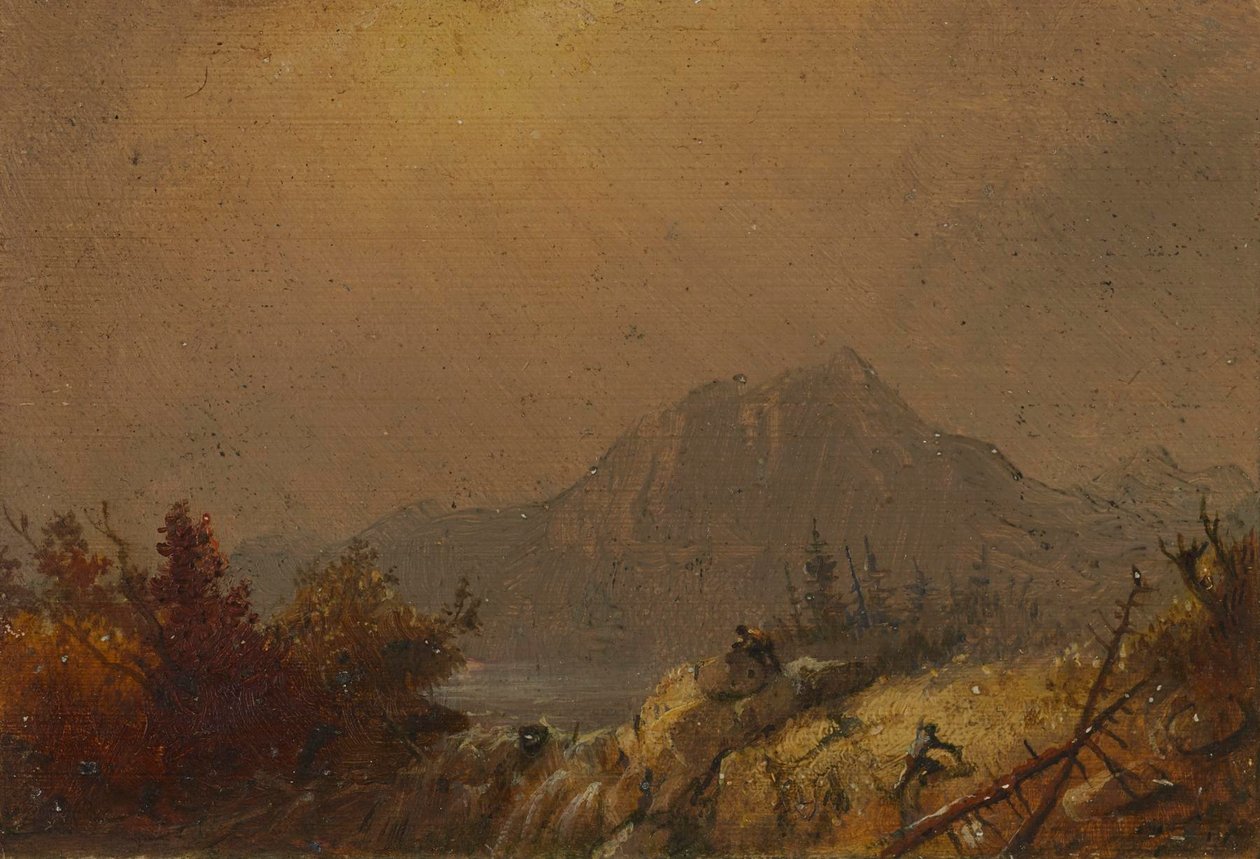 Westerse landschappen door Alfred Jacob Miller