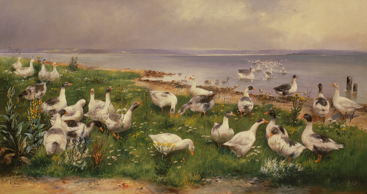 Ganzen door Alfred Schonian