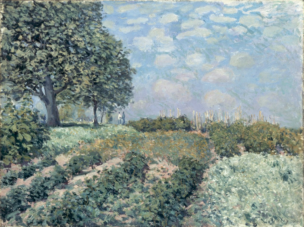 De Moestuinen door Alfred Sisley