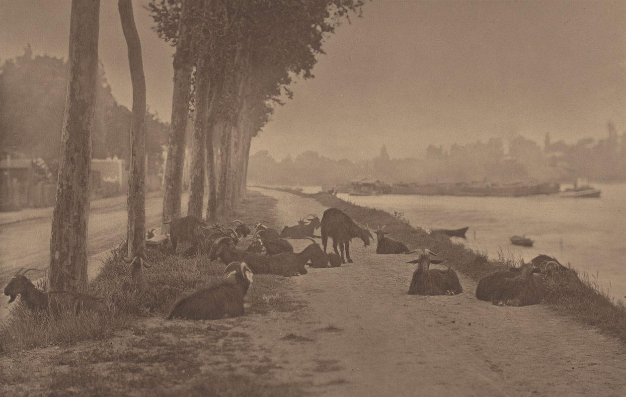 Een decoratief paneel door Alfred Stieglitz