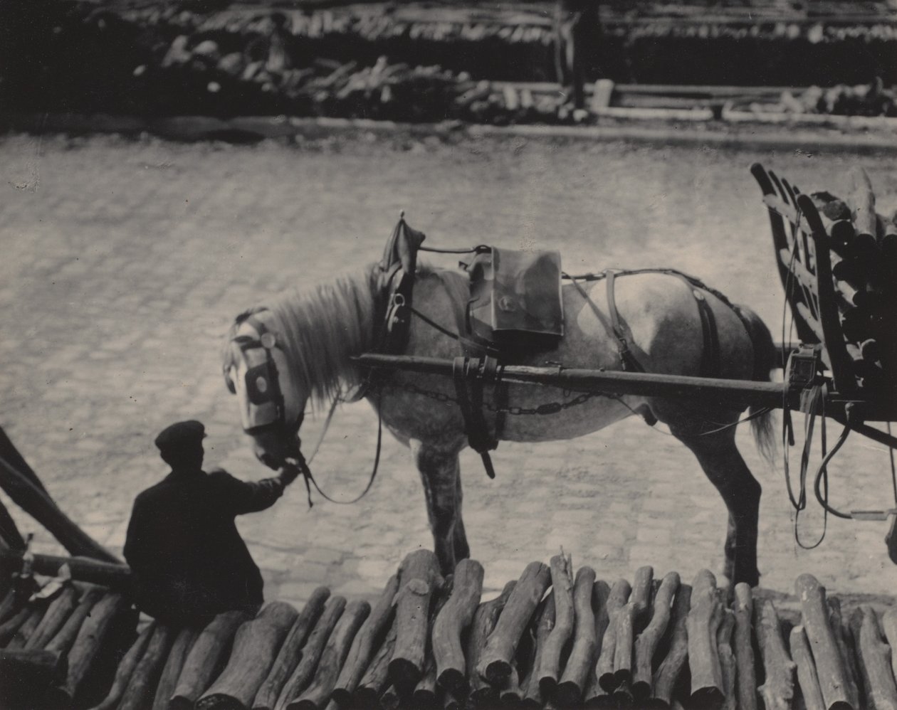 Een momentopname, Parijs door Alfred Stieglitz