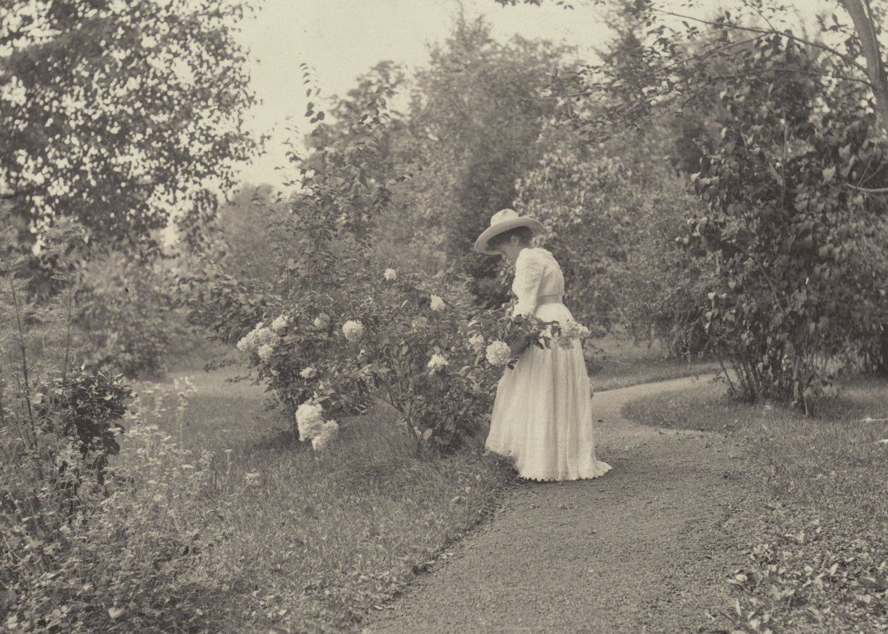 In Oaklawn door Alfred Stieglitz