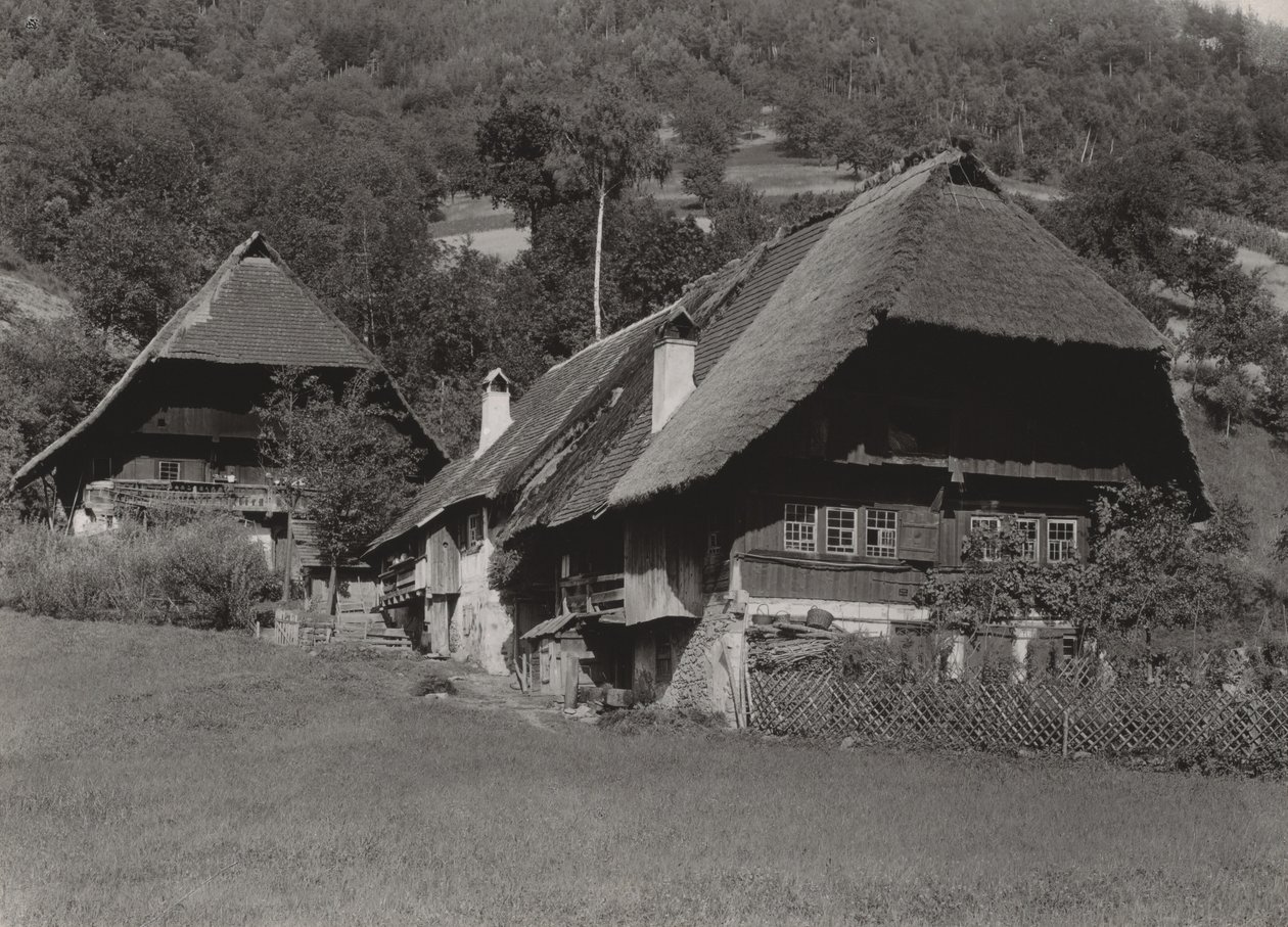 Black Forest House door Alfred Stieglitz