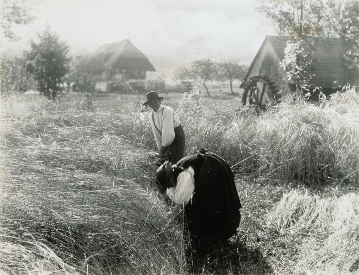 Vroege ochtend door Alfred Stieglitz